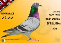 GB 21 V16023
